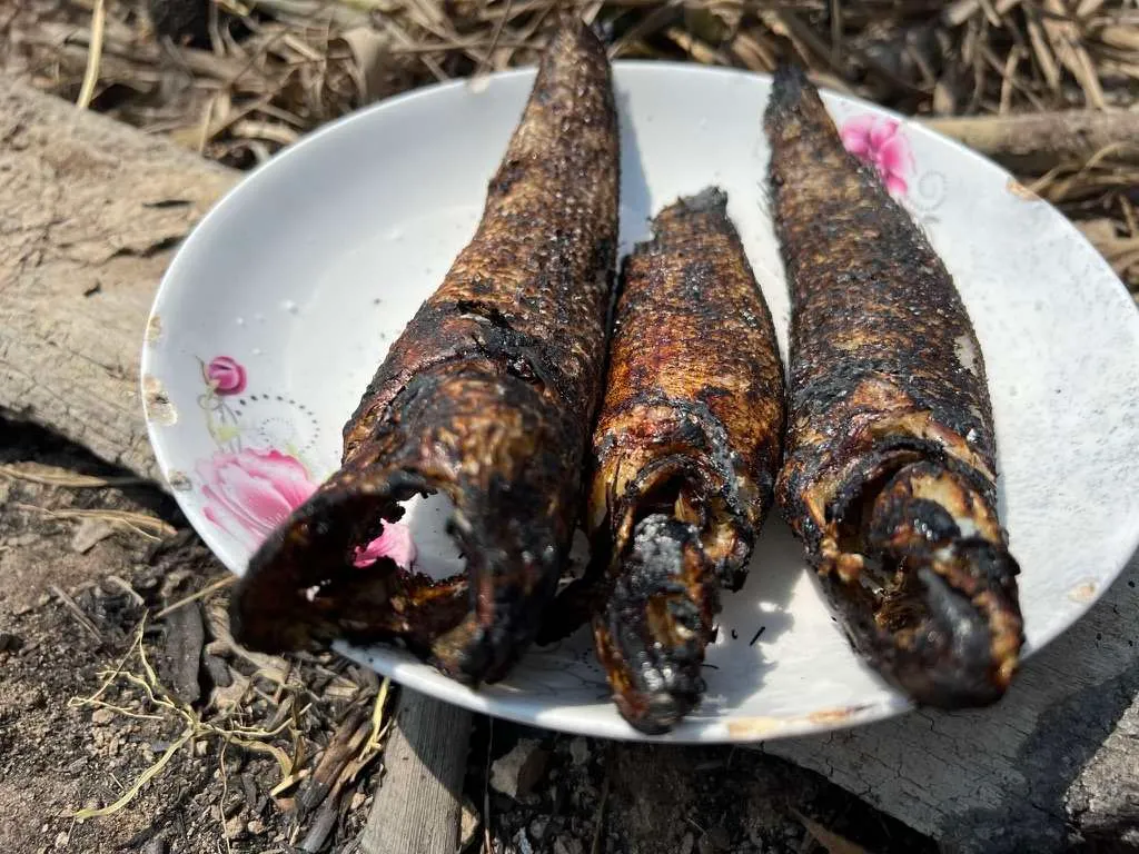 Cá lóc nướng trui