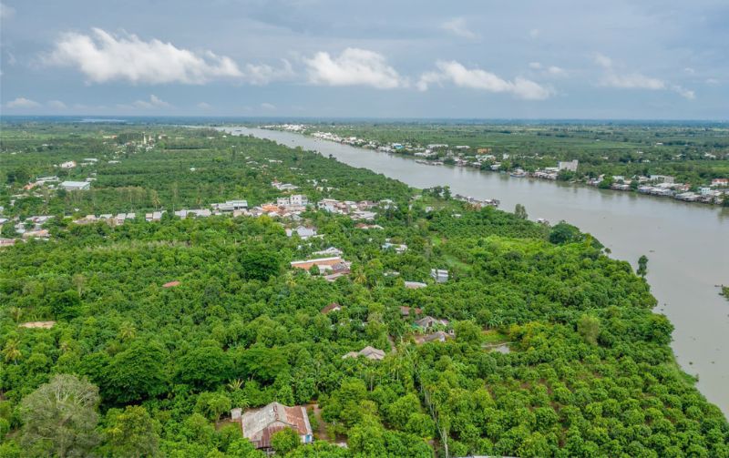 Cù lao Giêng - Dấu chân người mở cõi bên dòng sông Tiền