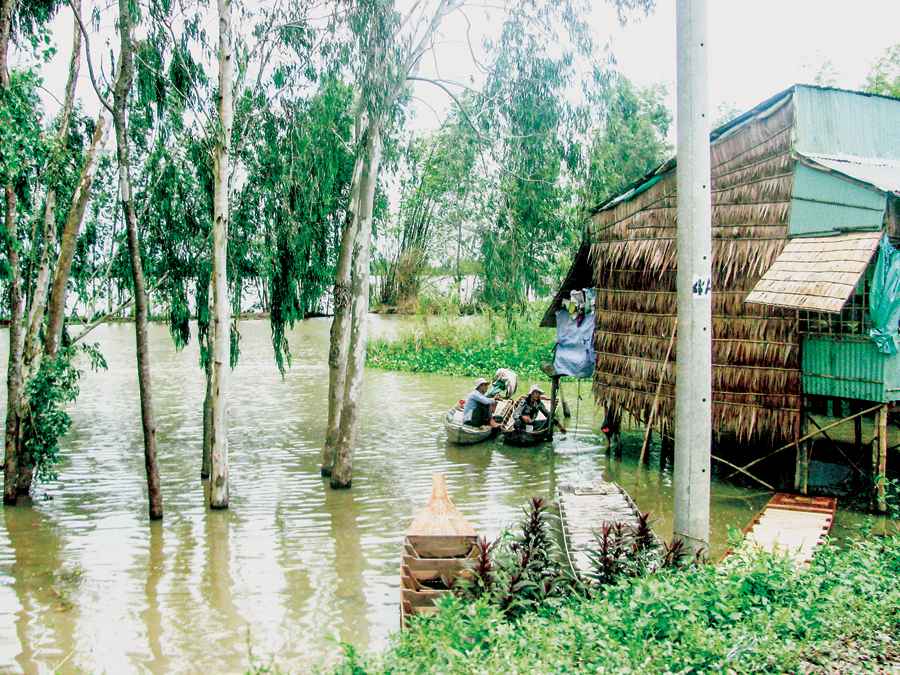 Mùa nước nổi - Mùa thiên nhiên ban tặng phù sa cho ruộng đồng